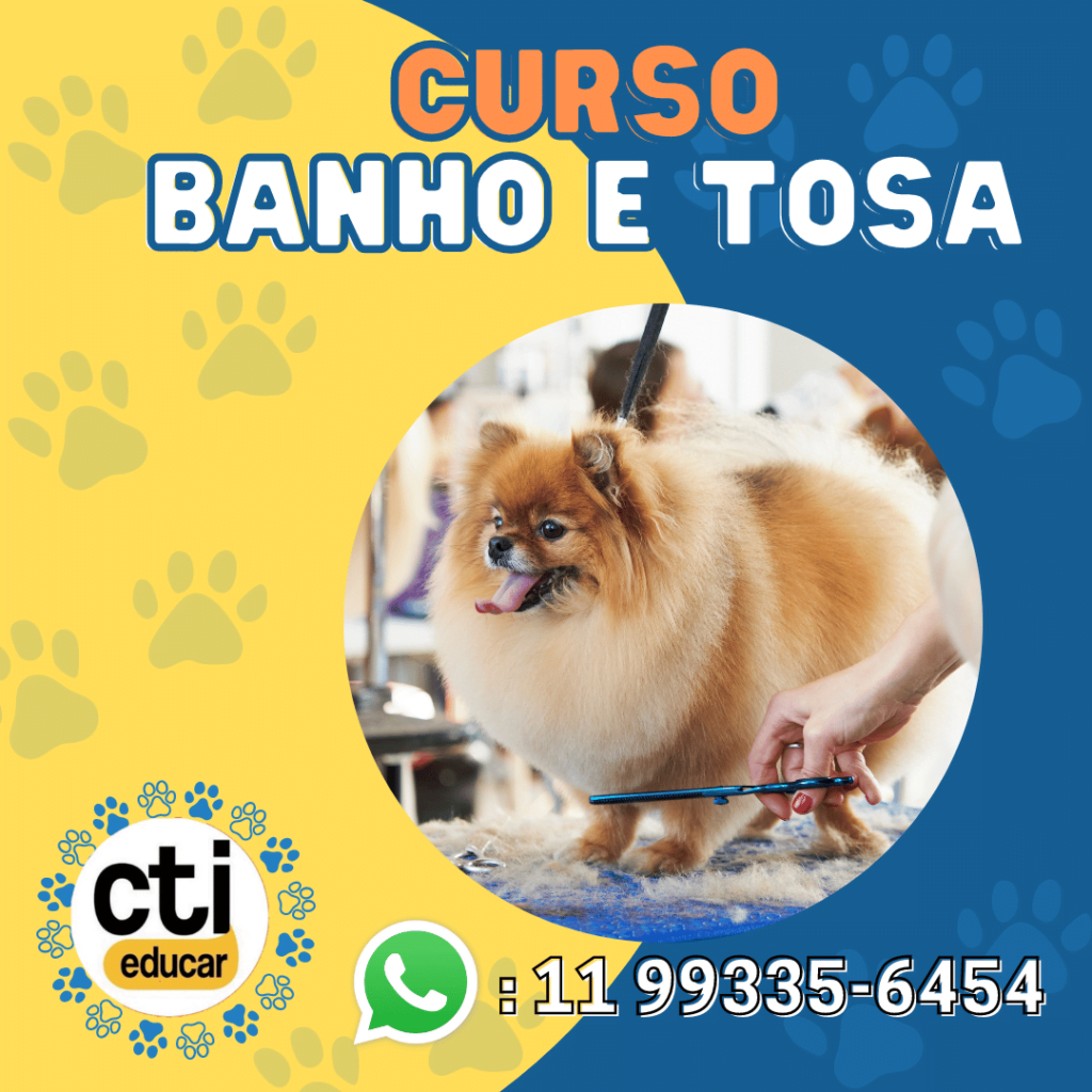 banho e tosa 1